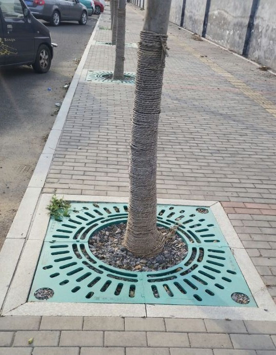  護樹板|樹池蓋板|樹篦子工程案例