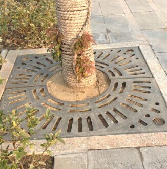 為什么道路兩旁的護(hù)樹板越來越多